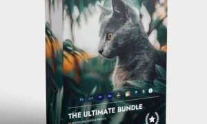 Premium (Preset /lut/fx )