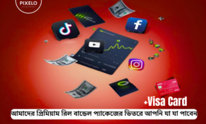 Visa Card +PREMIUM REEL BUNDLE ( 2024 ) Latest Collection With Regular Update .